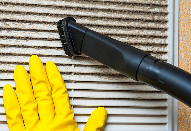 Best Duct Cleaning for Offices  in Lyford, TX